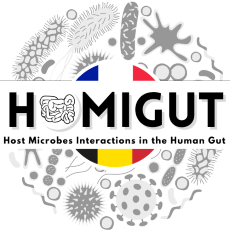 logo-HOMIGUT